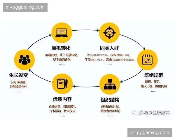 本季度私域社群协议标准确立 推动系统间数据互通